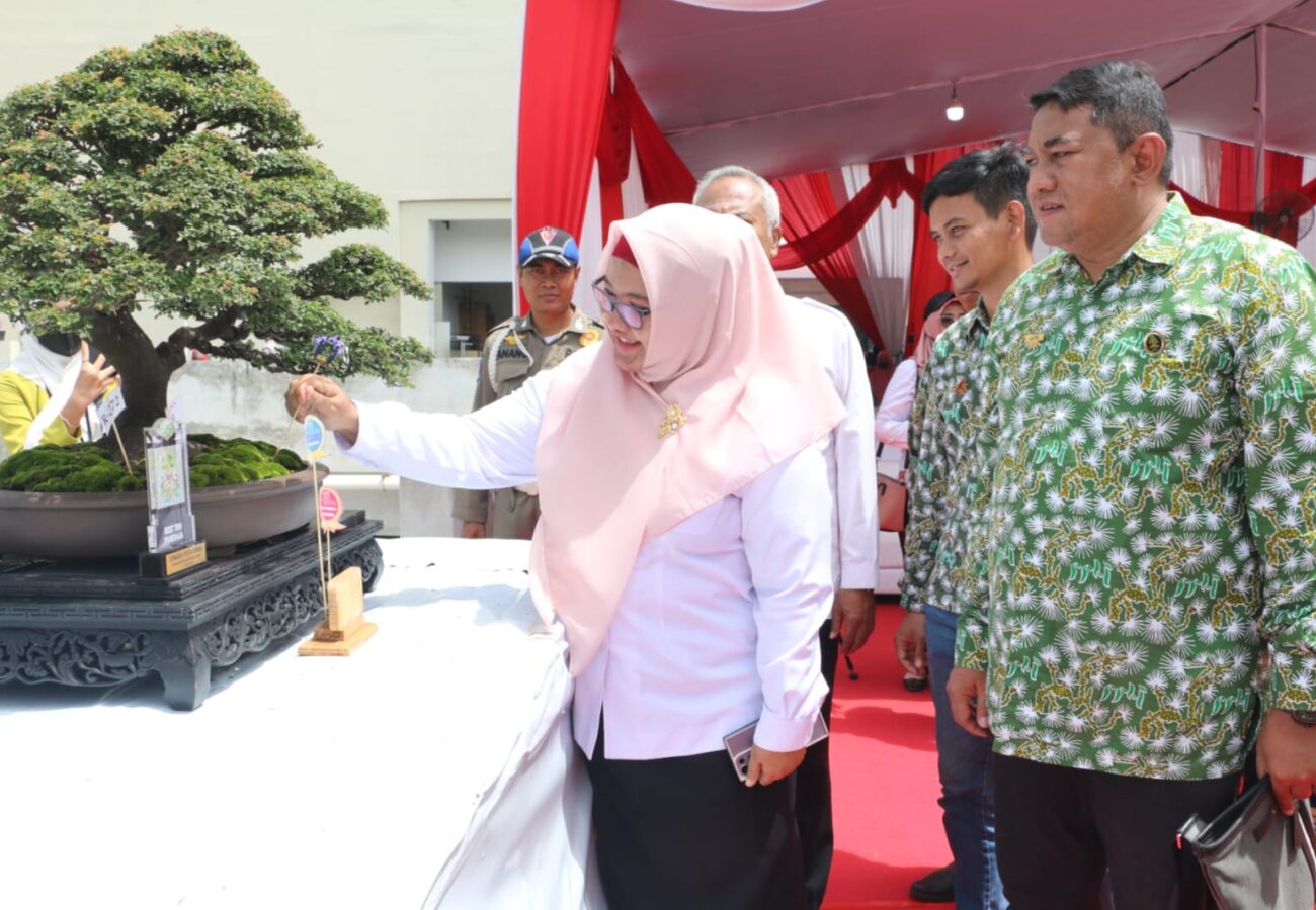 Ribuan Bonsai Nilai Total Miliaran Rupiah di Pamerkan di Gressmall Gresik