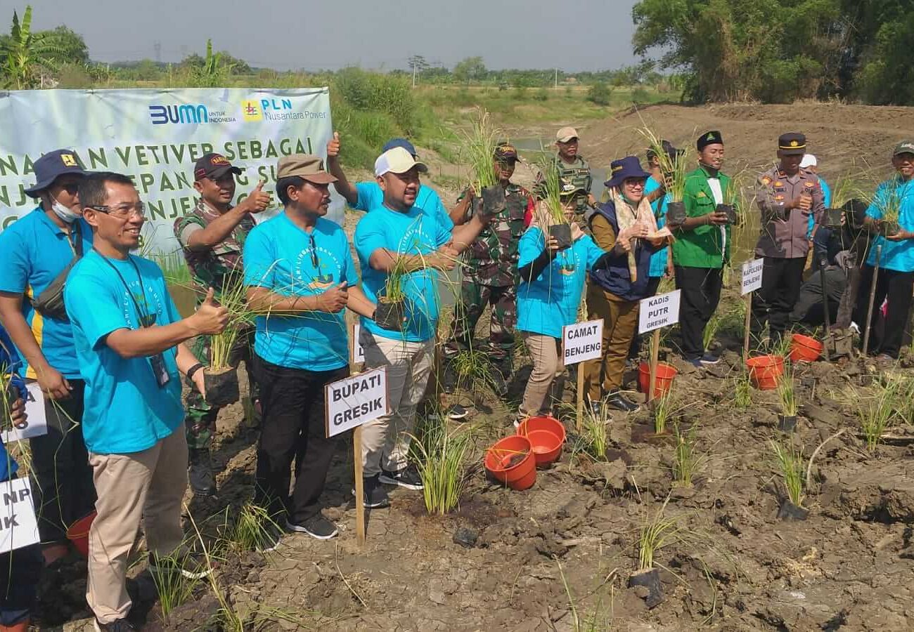 Bupati Gresik Tanam Rumput Vetiver di Tanggul Kali Lamong Cegah Abrasi 