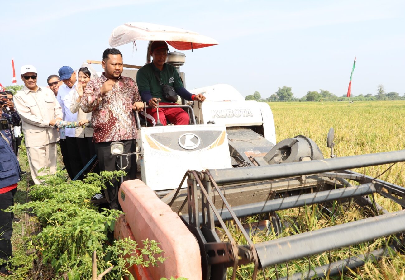 Panen Raya Padi di Gresik: Mentan Amran Apresiasi Produksi Tinggi dan Harga Gabah Rp 6.500