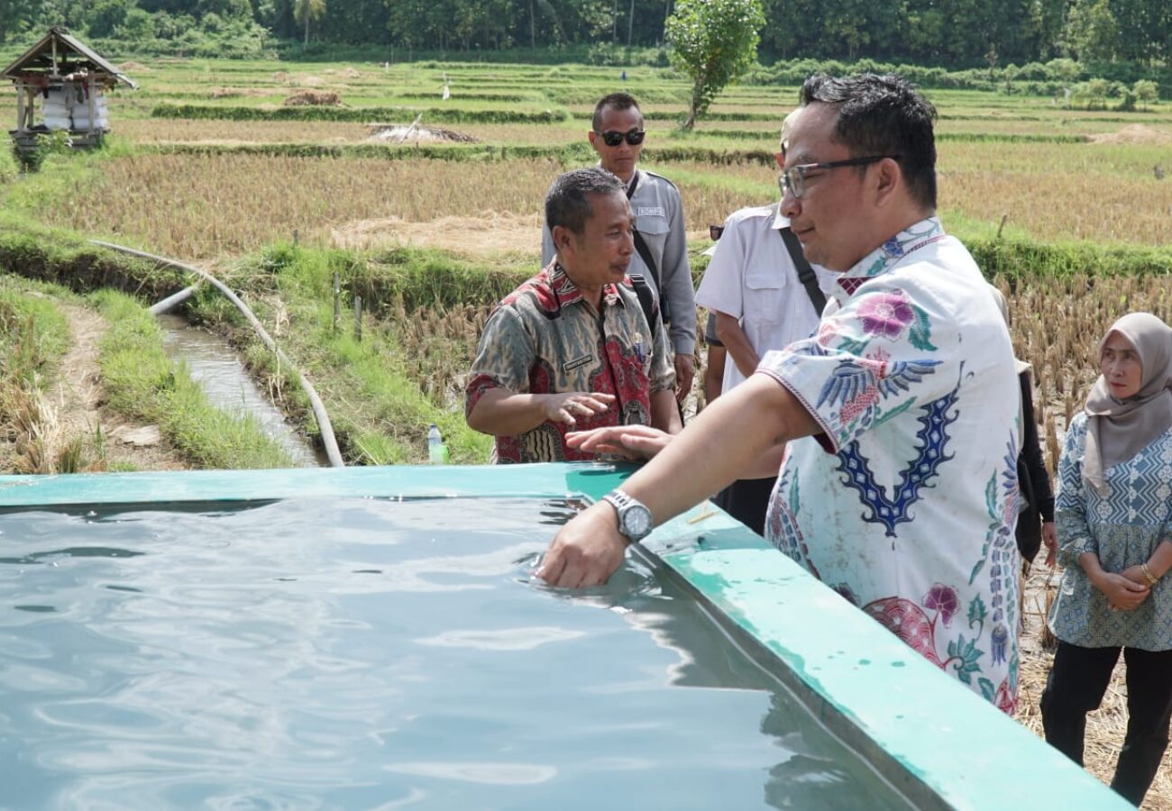 Kesejahteraan Petani Jadi Prioritas, Wabup Alif Tinjau Langsung Irigasi di Kepuhteluk