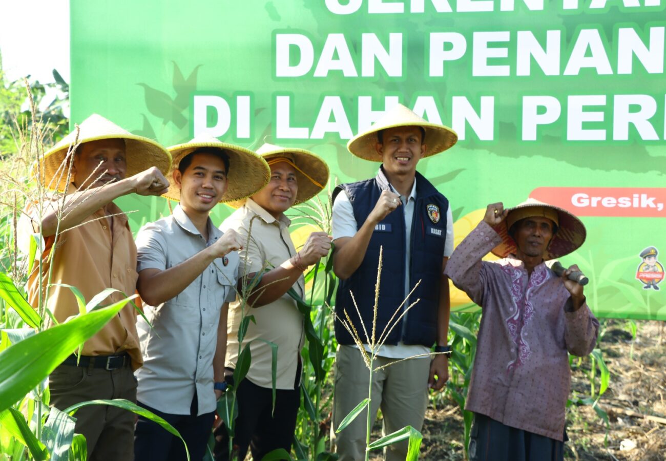 Dukung Ketahanan Pangan, Polres Gresik Gelar Penanaman Jagung Serentak di Lahan Perhutanan Sosial
