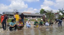 Hijaukan Pesisir, Sejahterakan Nelayan: PT Orela Shipyard Tanam Mangrove, Bangun Rumah Ikan, dan Salurkan Bantuan Jaring di Ujungpangkah